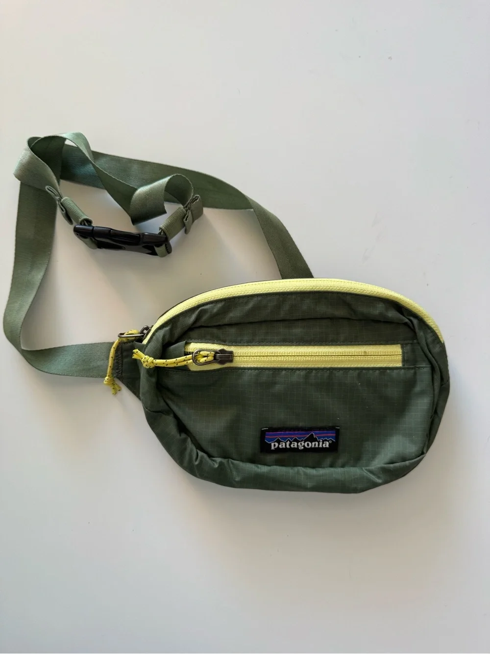 Patagonia Small Fanny Pack